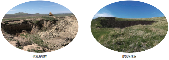 1762325390840029095.png image.png